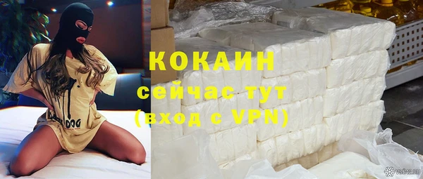 стаф Белокуриха
