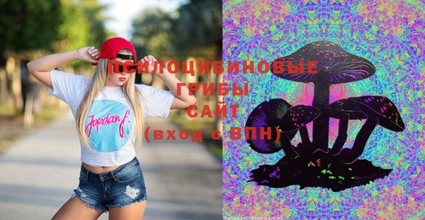 стаф Белоозёрский