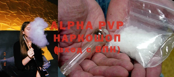 стаф Белокуриха