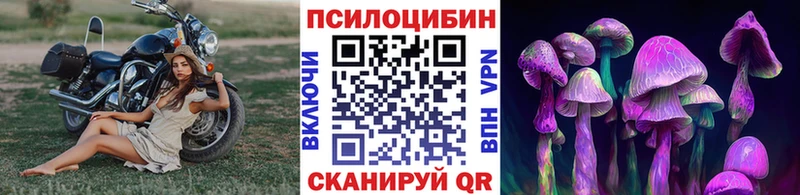 блэк спрут ONION Красный Сулин Галлюциногенные грибы Psilocybine cubensis